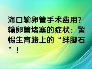 海口输卵管手术费用？输卵管堵塞的症状：警惕生育路上的“绊脚石”！