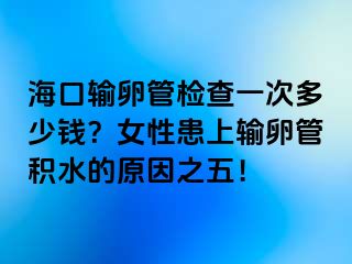 海口输卵管检查一次多少钱？女性患上输卵管积水的原因之五！