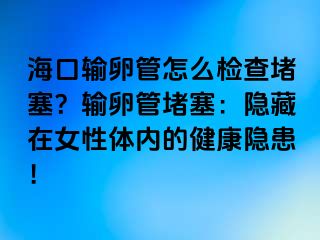 海口输卵管怎么检查堵塞？输卵管堵塞：隐藏在女性体内的健康隐患！