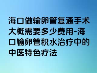 海口做输卵管复通手术大概需要多少费用-海口输卵管积水治疗中的中医特色疗法